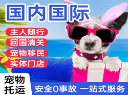 二连浩特空运公司国际宠物托运 【国